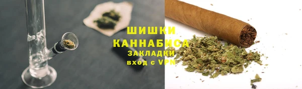 дживик Бронницы