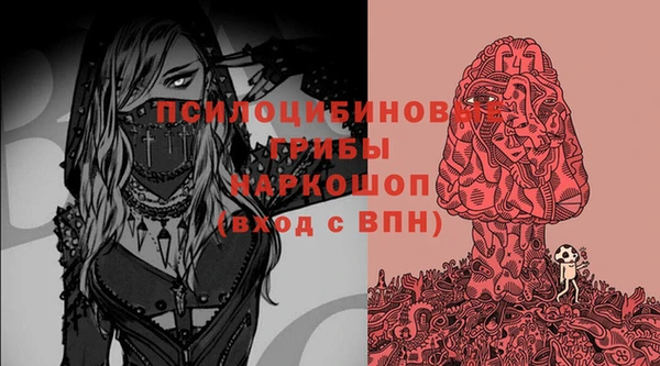 прущие грибы Иннополис