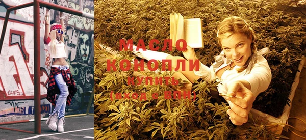 дживик Бронницы