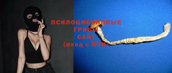 дживик Бронницы