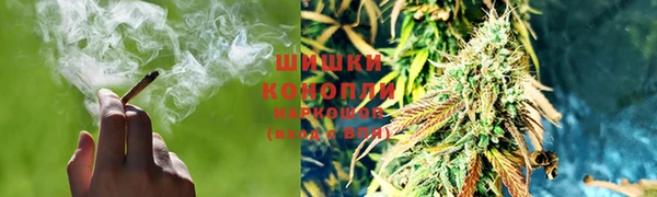 тгк Волоколамск