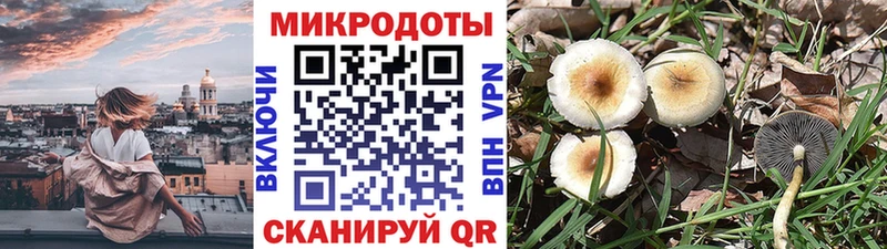 Галлюциногенные грибы мухоморы  ОМГ ОМГ зеркало  Добрянка 